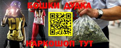 индика Гусь-Хрустальный