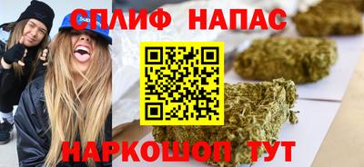 индика Гусь-Хрустальный