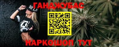 индика Гусь-Хрустальный