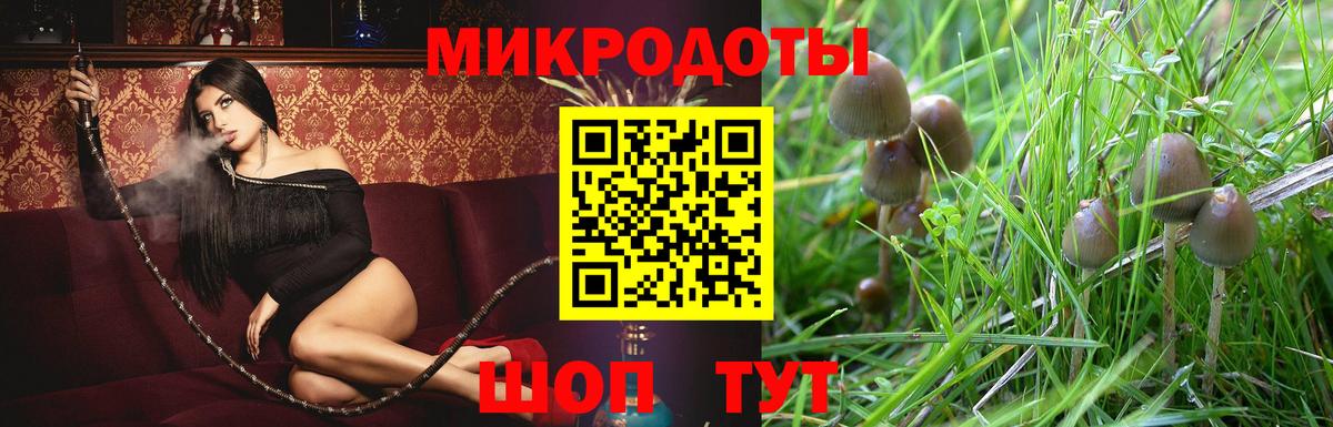 Галлюциногенные грибы прущие грибы Балтийск