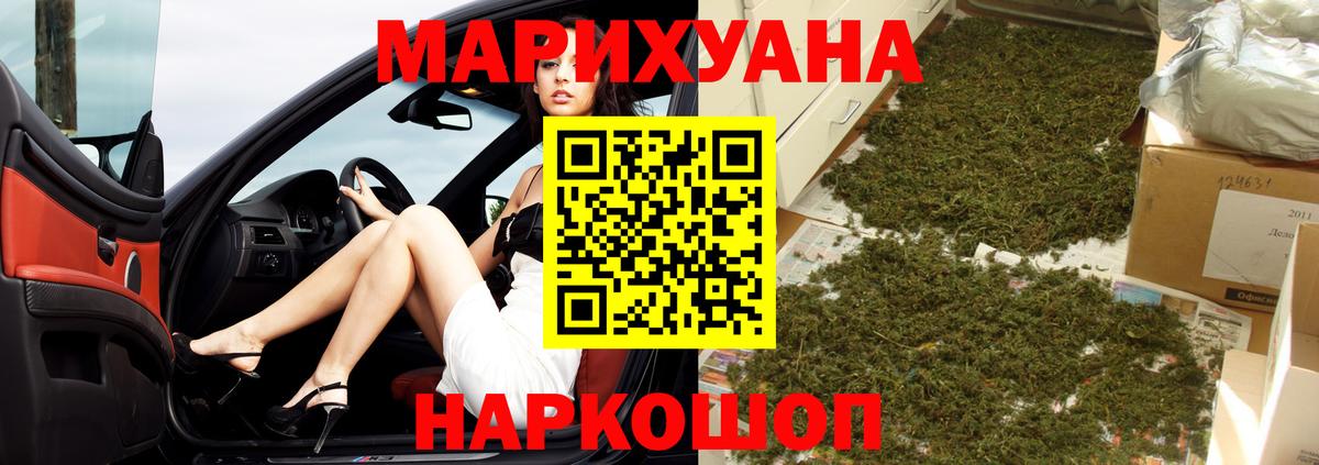Каннабис сатива Балтийск